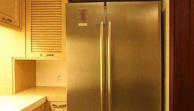 家电也遭环境考验 冰箱怕冷还是怕热？